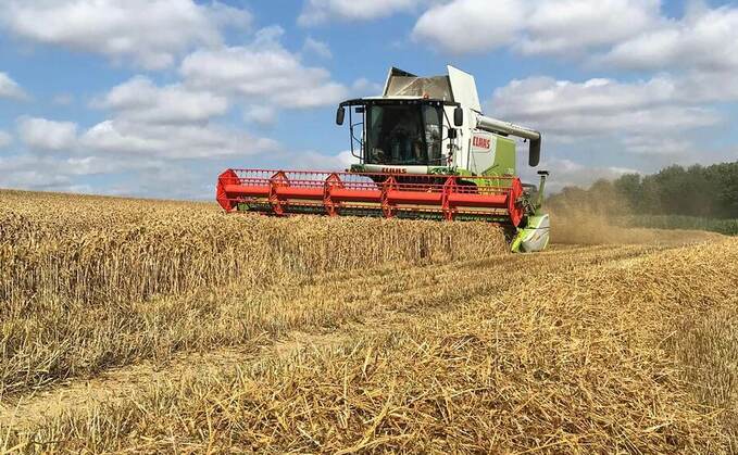 Harvest 21: Lincs grower bags world barley yield record