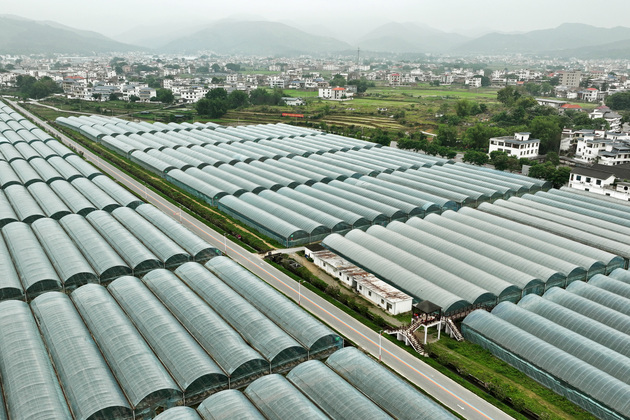 CHINA-JIANGXI-YUDU COUNTY-DEVELOPMENT (CN)