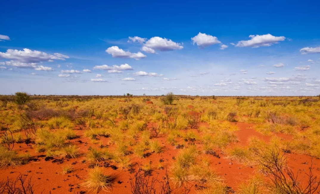 Magnetic claiming more potential high-grade success