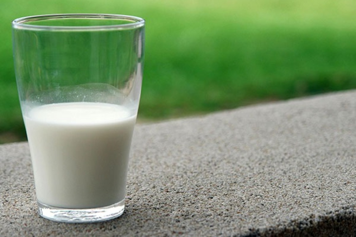 Pakistan: Sindh Food Authority uncovers widespread milk, tea leaf adulteration in Karachi