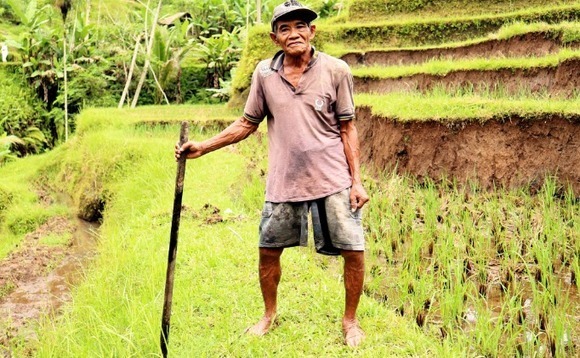 Openspace co-leads $17m round for Indonesia's TaniHub