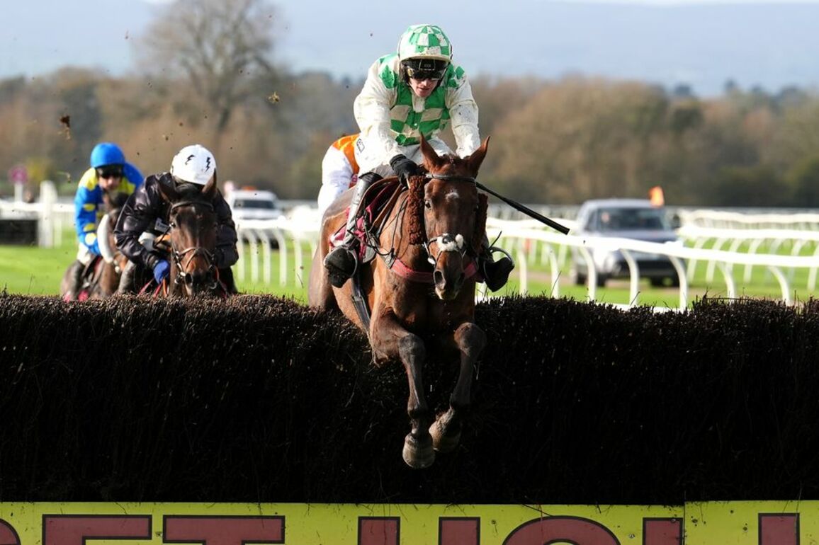 Celebre DAllens cause of death as BHA release statement on tragic Grand National horse