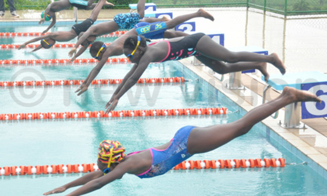 Dolphins excel at Kenya championships Dolphins excel at Kenya championships