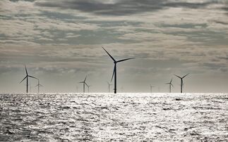 Octopus Energy and Nest snap up stake in Hornsea One offshore wind farm