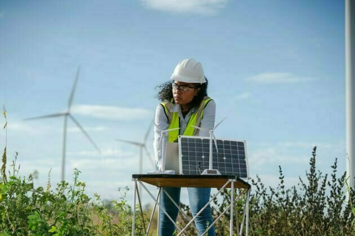 African women are key to fighting climate change - these are the green skills they will need
