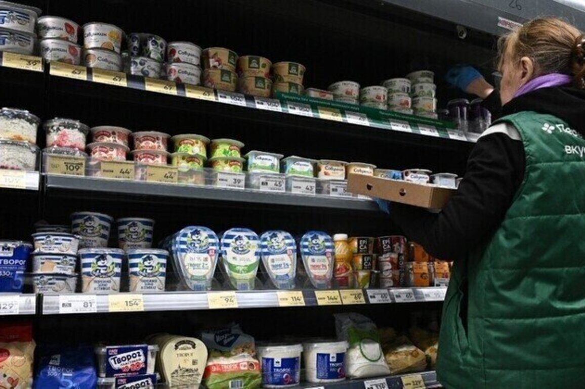 Domestic demand driving Russias economic growth  minister