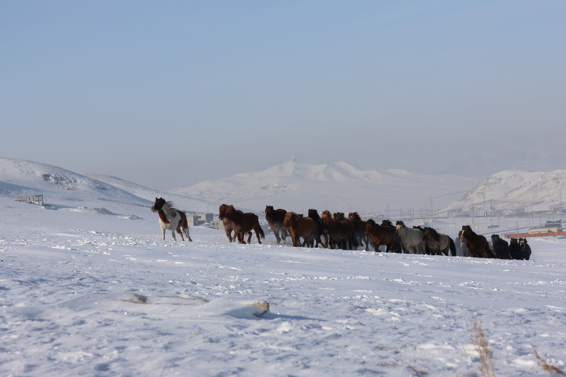 MONGOLIA-WEATHER-SNOWFALL-COVERAGE