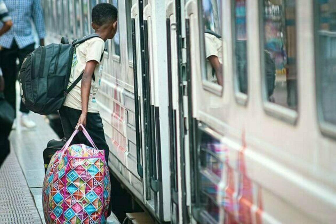 Refugee protection in Egypt: what's behind the return train to Sudan