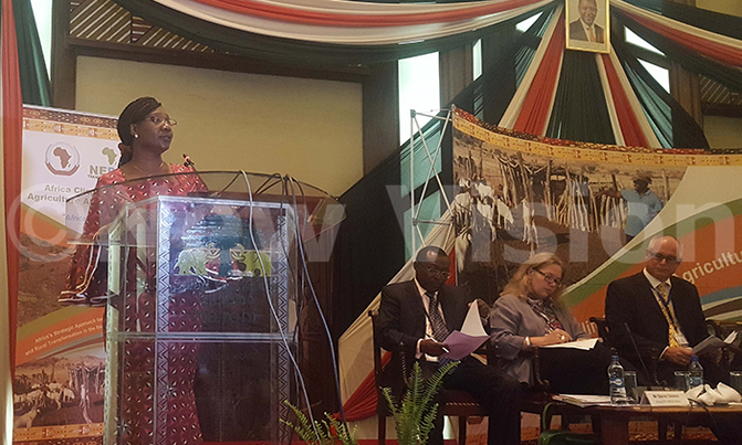 Most gov'ts lack climate change mitigation measures - NEPAD Most gov'ts lack climate change mitigation measures - NEPAD