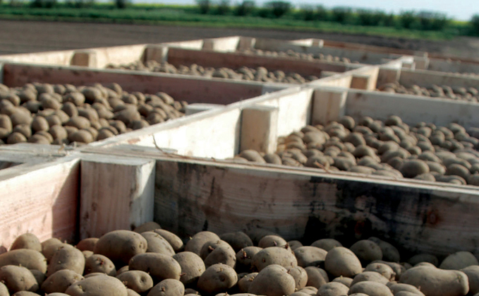 Limited progress on seed potato ban