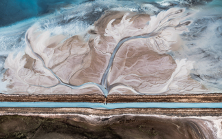 BusinessGreen to host new webinar on navigating the voluntary carbon market in 2024