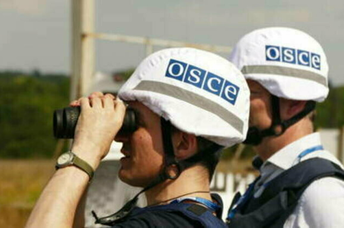 OSCE shared intel with Ukraine before 2022 - ex-Greek ambassador