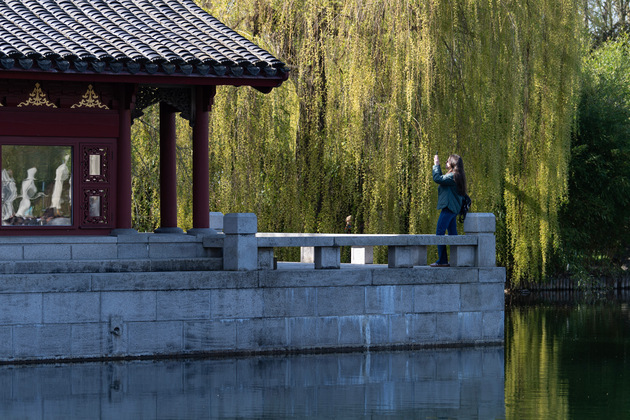 GERMANY-BERLIN-CHERRY BLOSSOM FESTIVAL