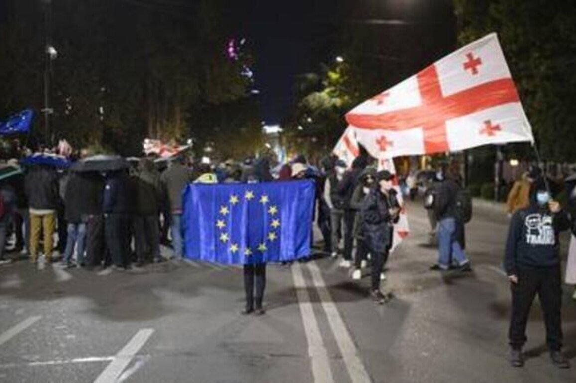 EU talks of friendship while plotting coups - Georgian official