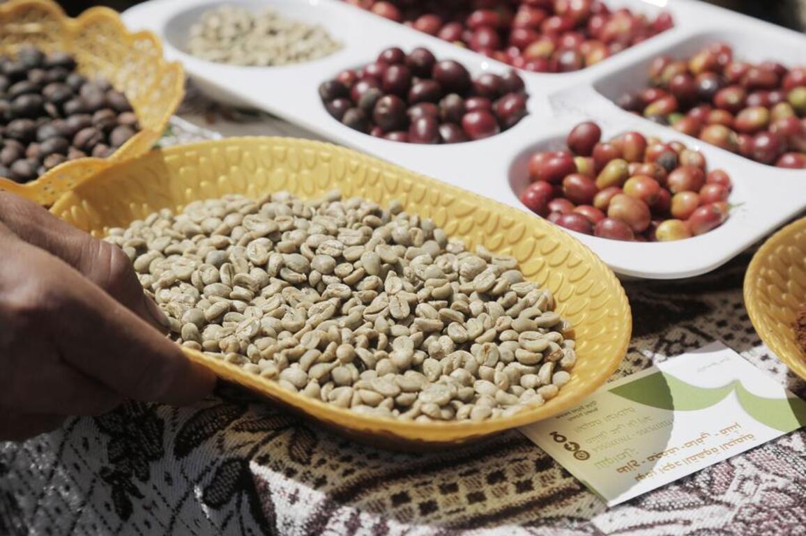 Letter from Mideast: In Yemen's highlands, hope persists where coffee grows