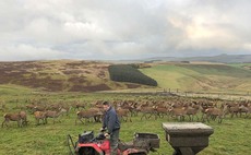 How technology is helping red meat's carbon efficiency