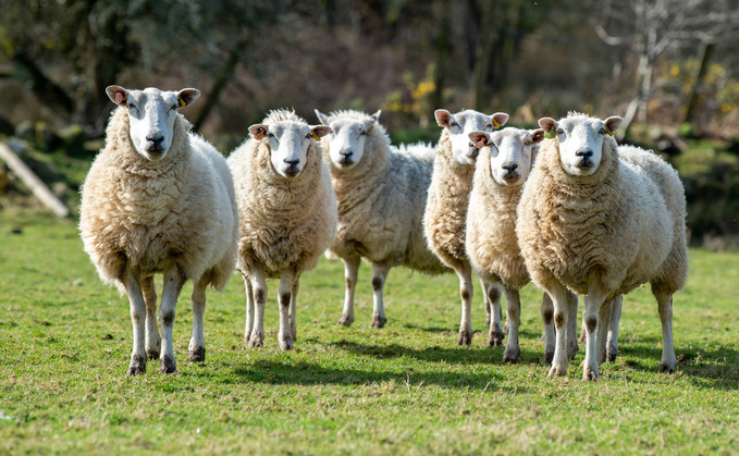 The report showed a fall in the use of antimicrobials and the number of mastitis cases in dairy herds.