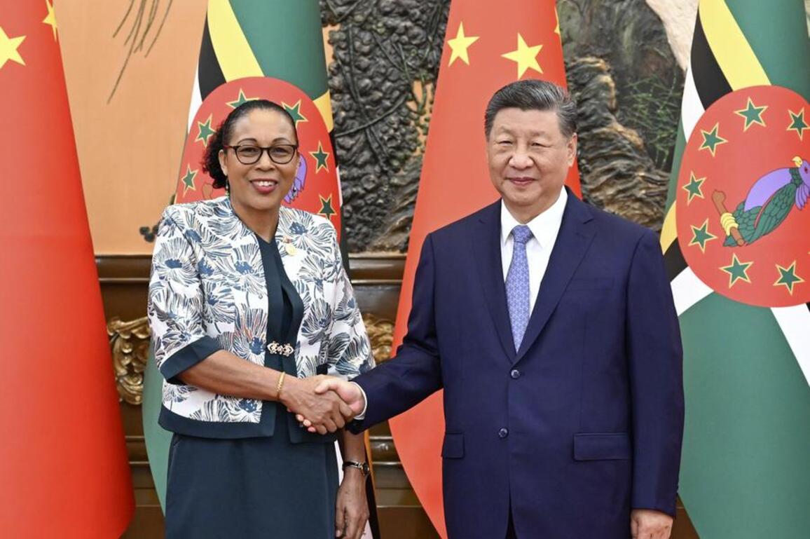 Xi's Album | Xi meets president of Dominica