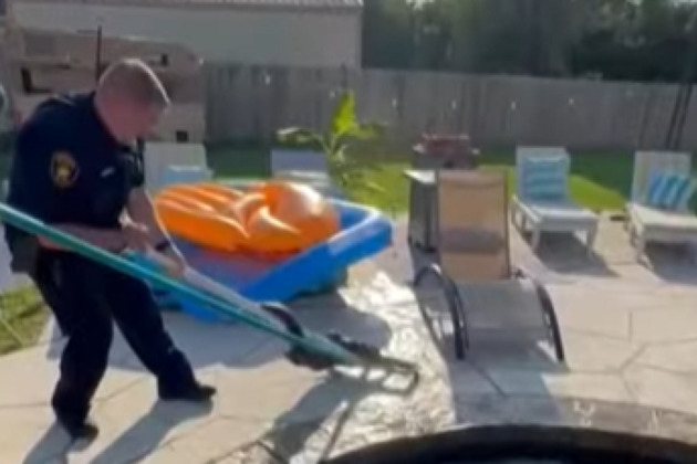 Texas deputy wrangles alligator with makeshift lasso