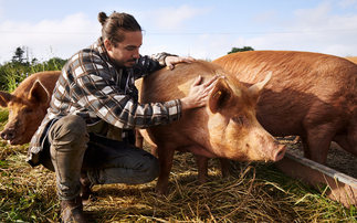 From commodities to community – how one farmer transformed his arable system