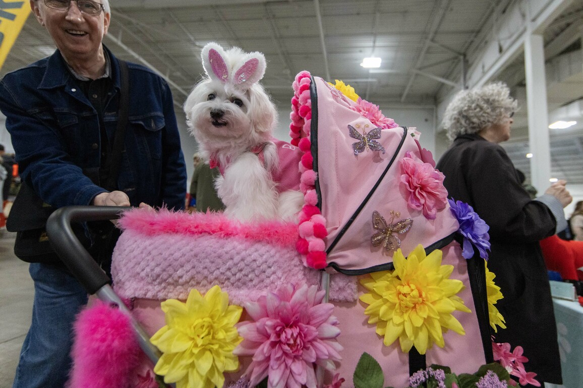 CANADA-MISSISSAUGA-SPRING CANADIAN PET EXPO