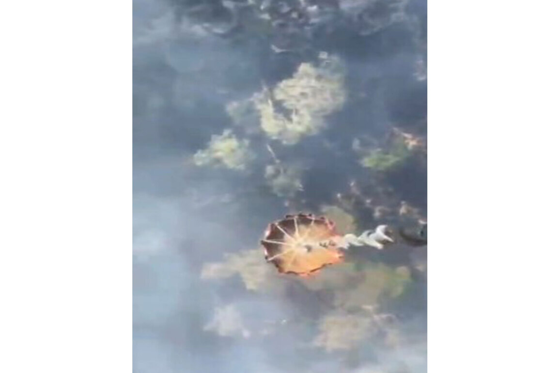 Himachal: IAF choppers deploy 'Bambi buckets' to combat Kasauli forest fires