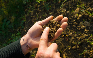 Partner Insight: Financing regenerative farming