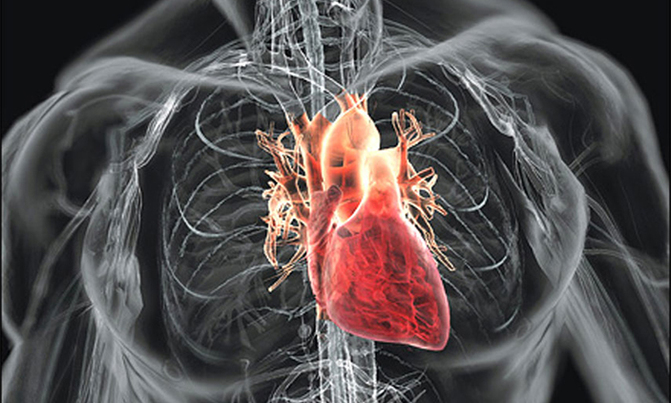 Are lonely hearts prone to cardiovascular disease? Are lonely hearts prone to cardiovascular disease?