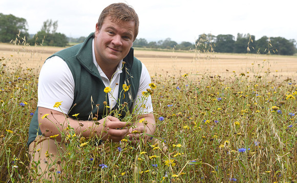 Talking agronomy with Ben Boothman: Winter barleys are approaching the final furlong and harvest is just around the corner