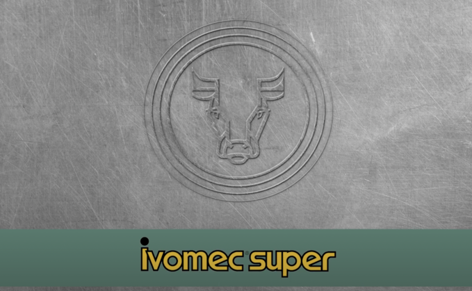 Farmer Story: IVOMEC Super - Pedigree Beef - Moore's Livestock