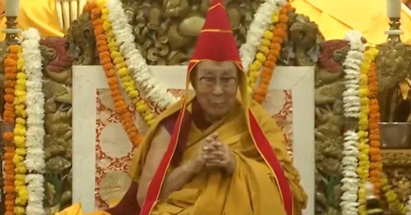 Northern Ireland News - Other - News Image