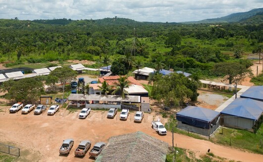 Projeto de níquel Jaguar