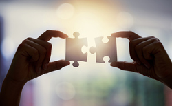 Cirencester Friendly joins Paradigm Protect panel