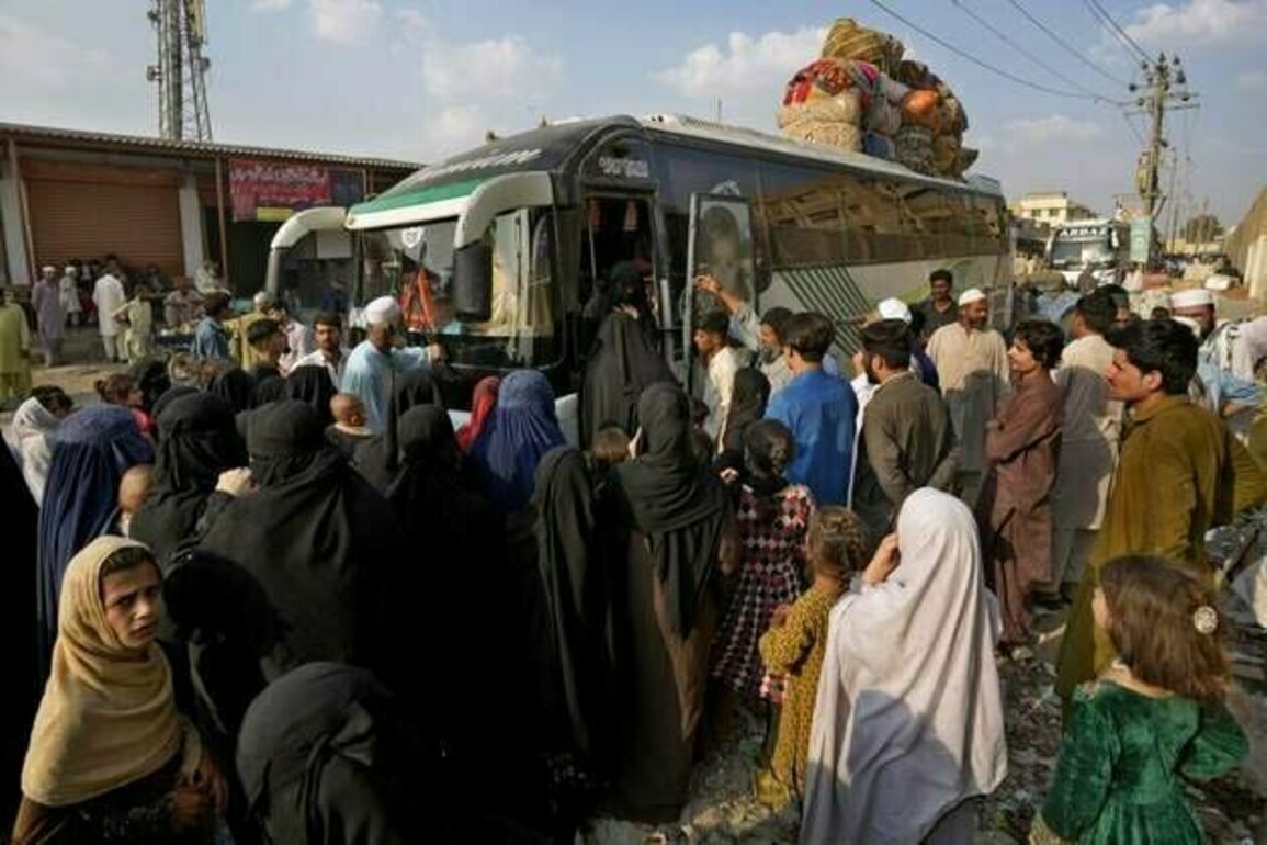 Pakistan: Forced Returns Expose Afghans to Persecution, Destitution
