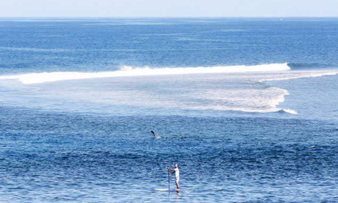 Humanity must rescue oceans to rescue itself, UN warns Humanity must rescue oceans to rescue itself, UN warns