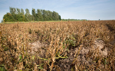 Nozzle choice key to rapid potato haulm destruction