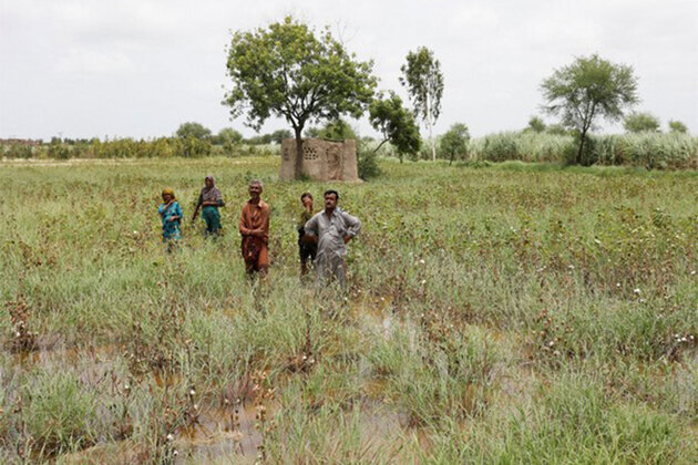 Delayed monsoon unlikely to trigger broader economic impact, but food inflation may stay elevated: Report