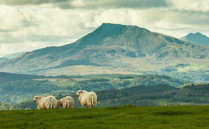 Protect farming to deliver on Wales' sustainability pledges