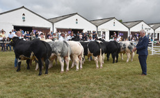 Livestock, food stalls and TV stars – what to see at this year's Great Yorkshire Show