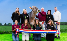 Brown Swiss cow scoops first coloured breeds championship at Borderway UK Dairy Expo 