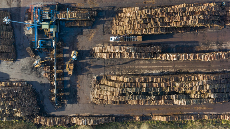 Forest Garden announces carbon-neutral first for the UK