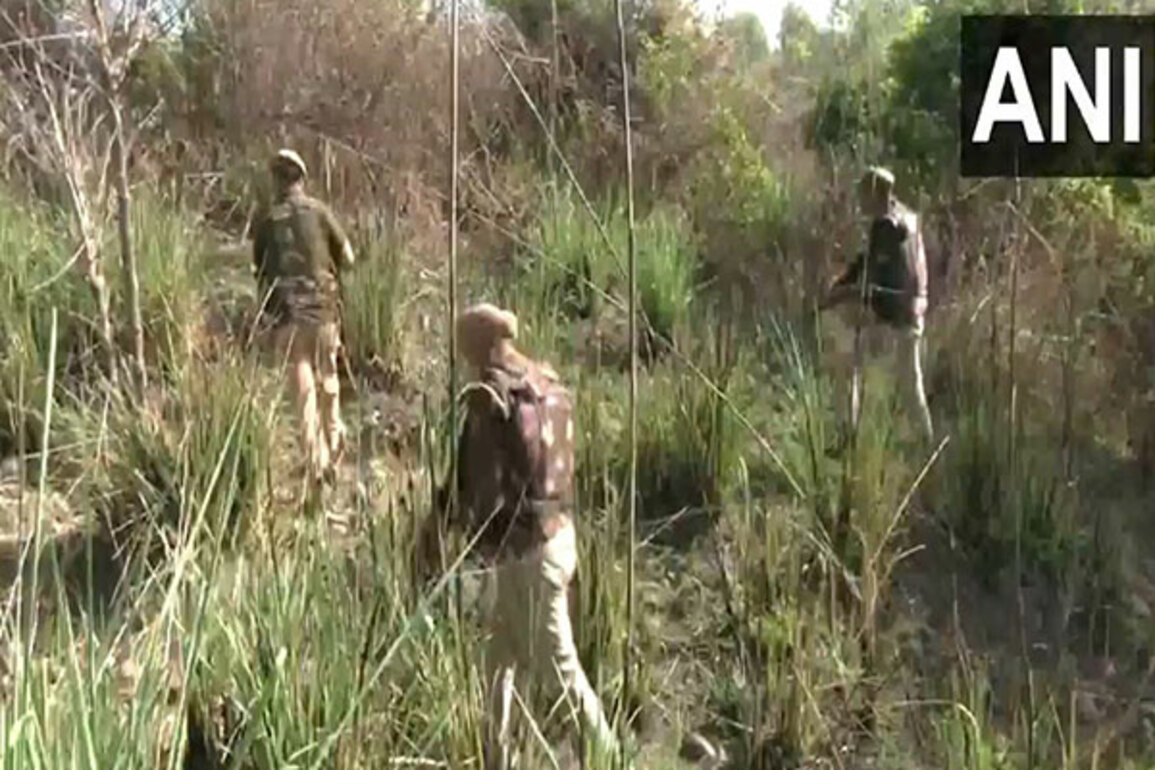 J-K: Search Operations underway following Pahalgam Terror attack