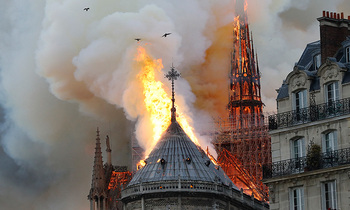 Notre dame 350x210