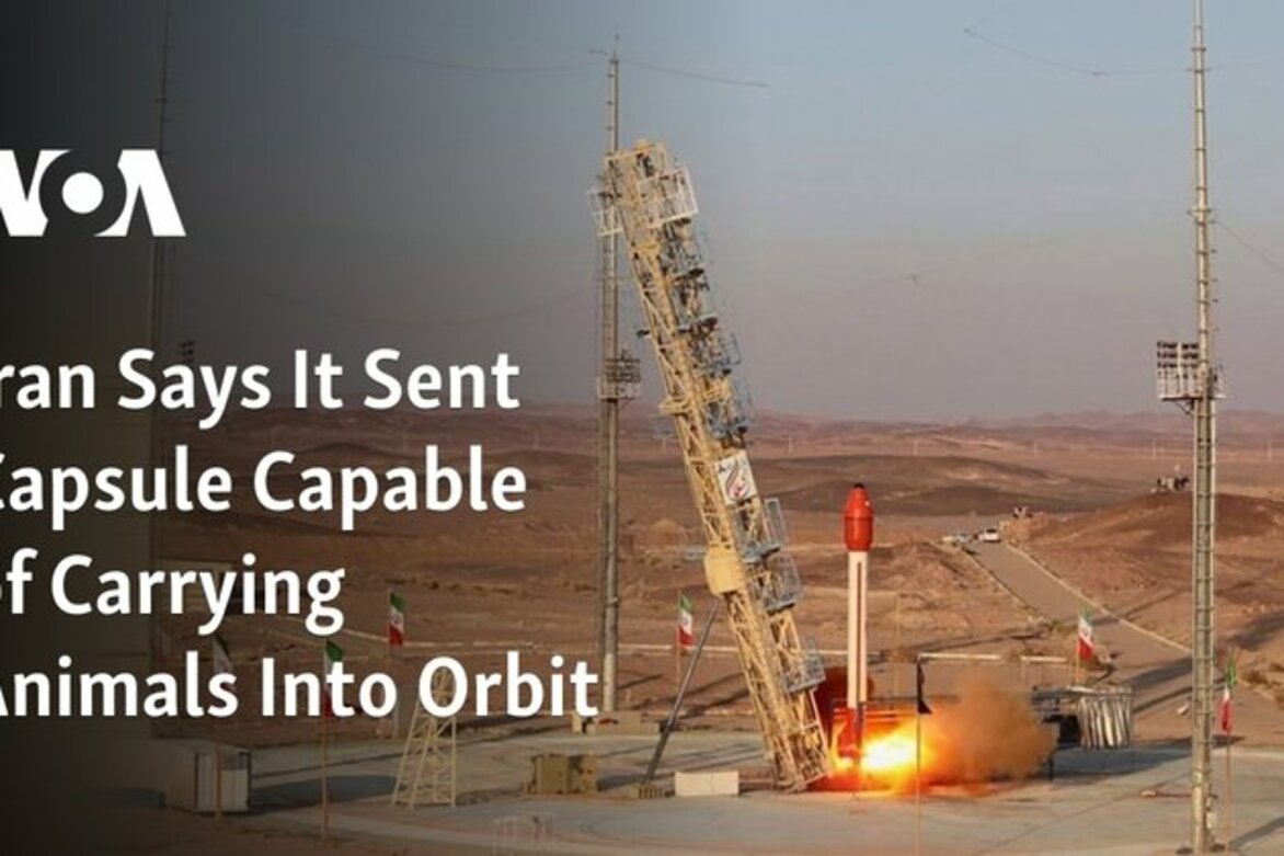 Iran Says It Sent Capsule Capable of Carrying Animals Into Orbit