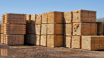 October sees 15% rise in timber import volumes, TDUK reports