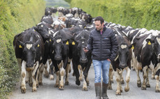 Partner Insight: Group monitoring takes guesswork out of herd management 