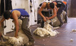 Wool producers recommended to support levy. 