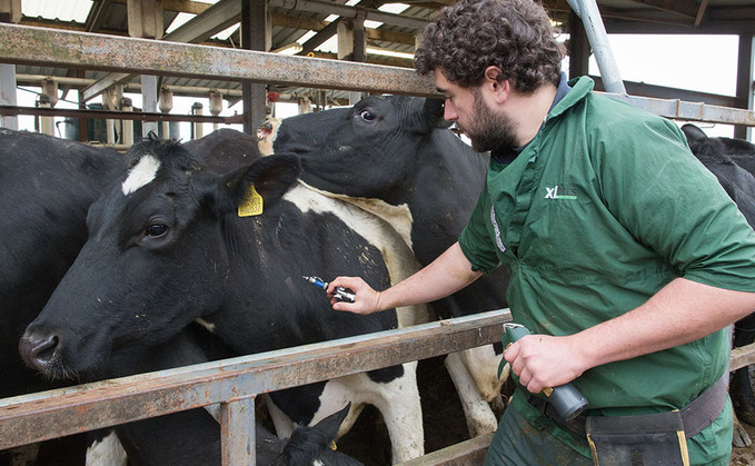 New data shows 'no progress made' in tackling TB in Wales, claim Tories