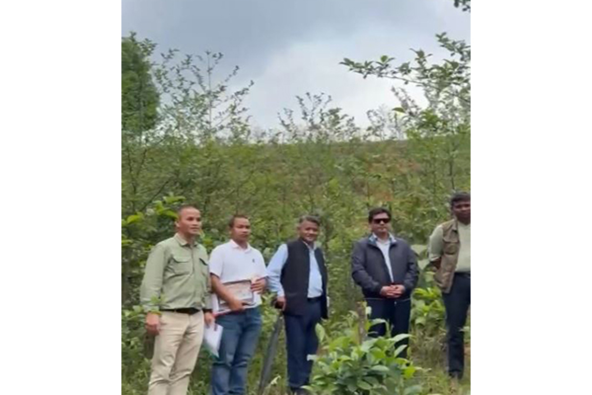 Meghalaya employs Miyawaki Forest method in its afforestation effort
