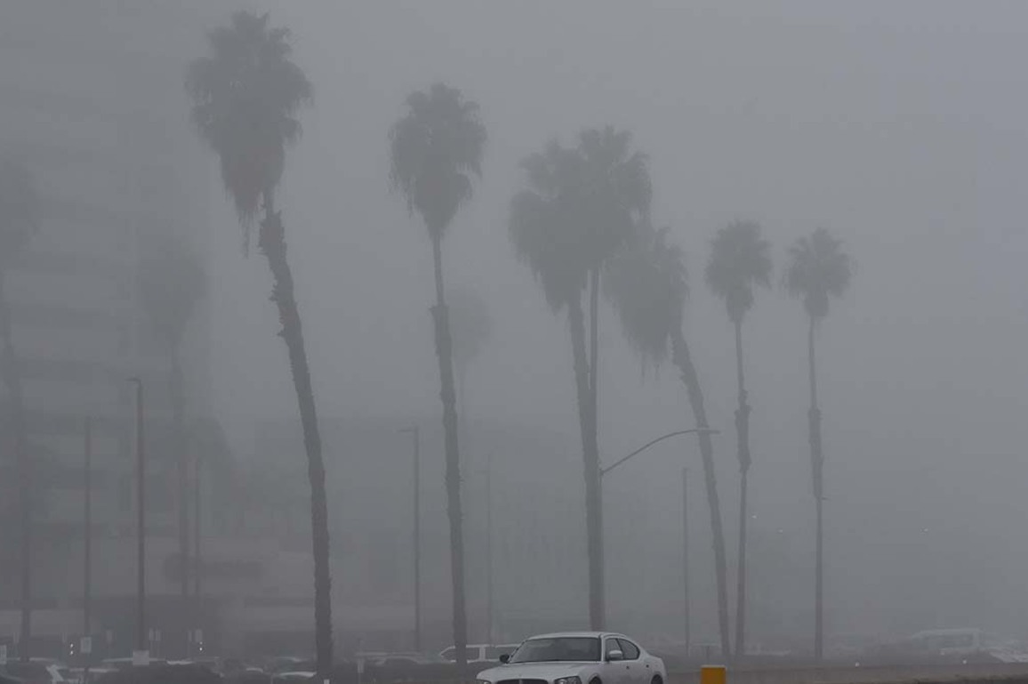Cessna crash spotlights hazards of flying in fog